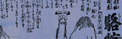 20250115.jpg